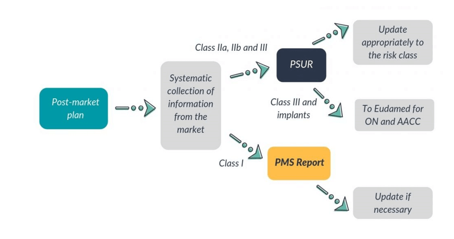 pms-infography-img