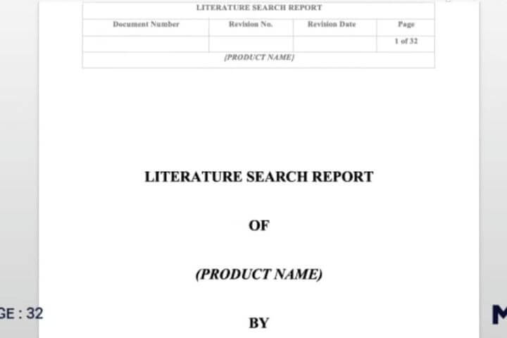 Literature-Search-Report-Template