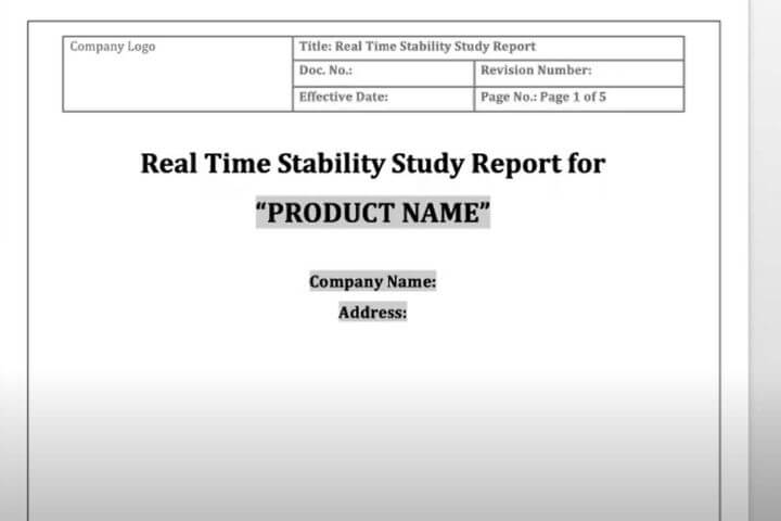 Real-time-stability-study-Template
