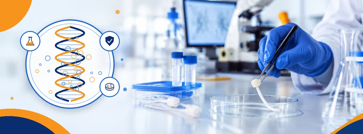 Biocompatibility Testing